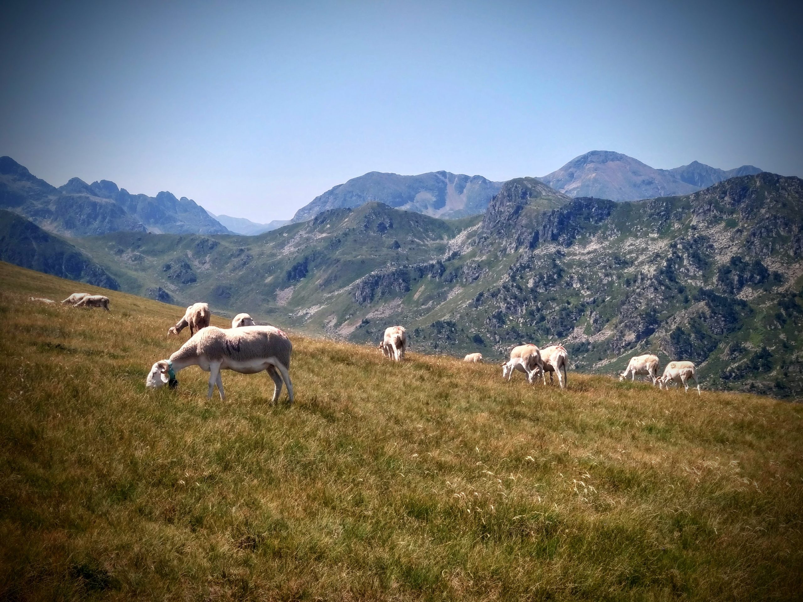 randonnée guidée ariège pyrénées