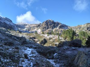 Les premières neiges sont tombées dans la nuit