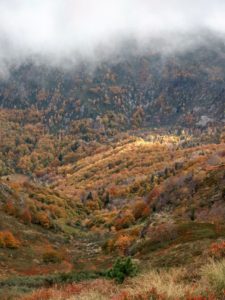 A cette saison, c'est l'automne qui s'installe