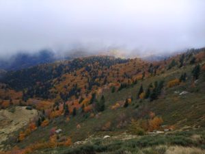 A cette saison, c'est l'automne qui s'installe