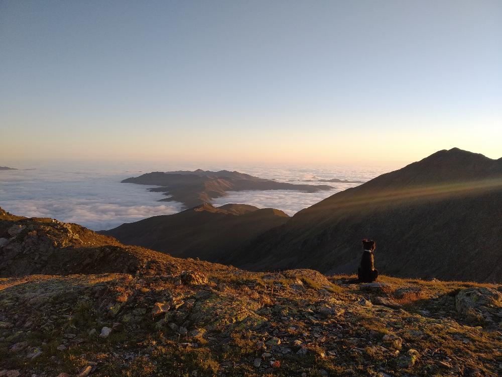 lever de soleil chien montagne