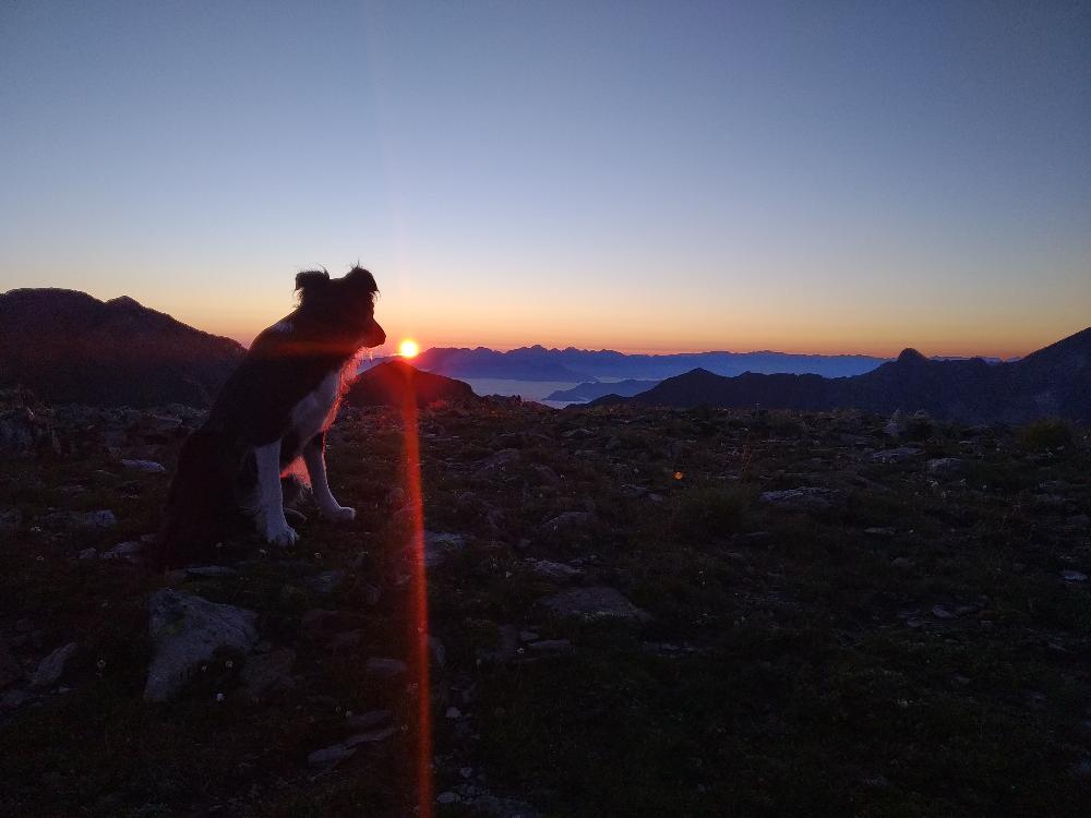 lever de soleil chien montagne