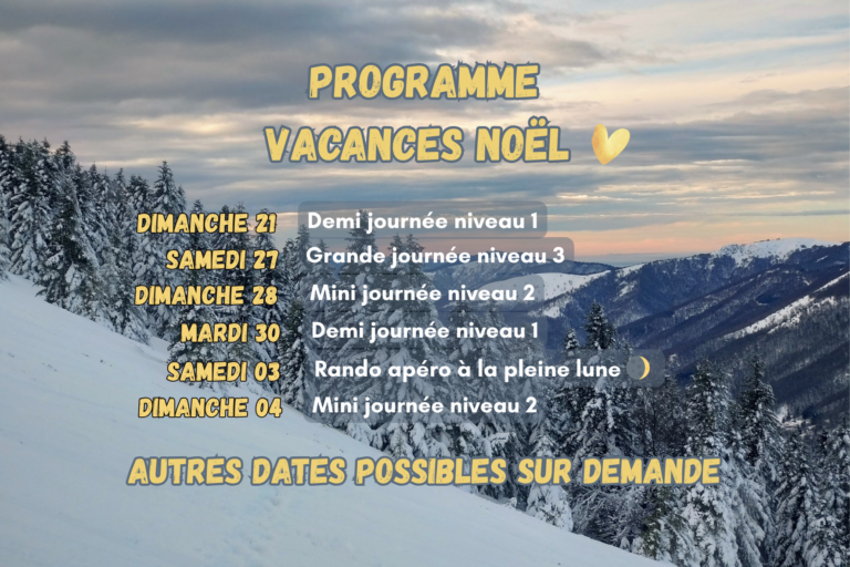 raquettes à neige ariège vacances noel