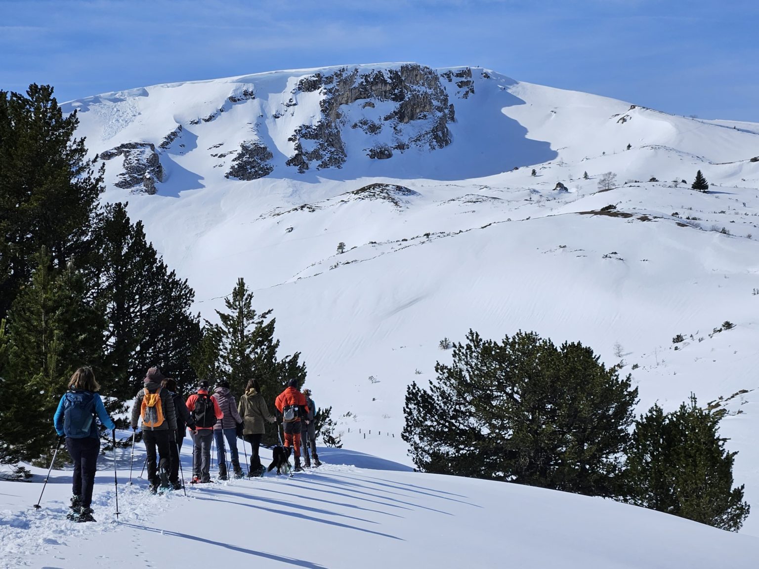 groupe vu de dos dans une grande étendue enneigée en raquette à neige en ariège