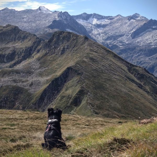 randonnée pic du mont ceint